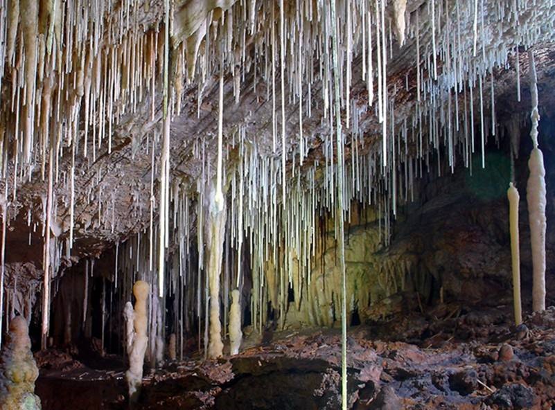 Las Cuevas de Campanet